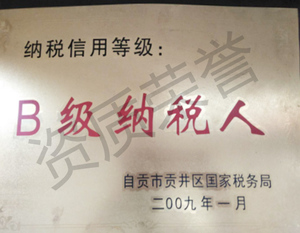 B级纳税人.jpg