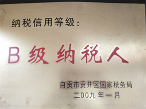 B级纳税人.jpg